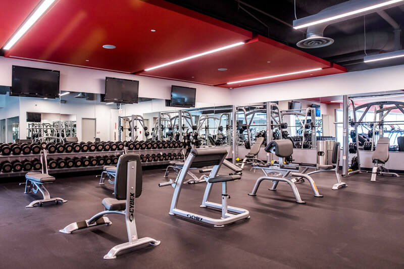 Free Weights